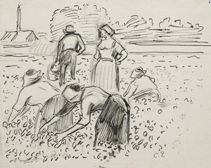 Studie av fem bondefigurer som arbetar på ett fält, 1887 (penna och bläck över svart krita) av Camille Jacob Pissarro